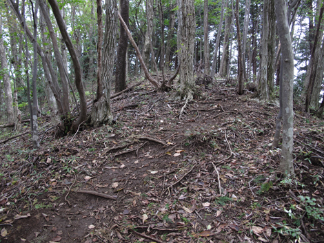 20181016hike (72)